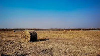 Kakadu Casino Mobilna aplikacija